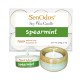 Tealight Set Spearmint Soy Candles + Candle Holder Set